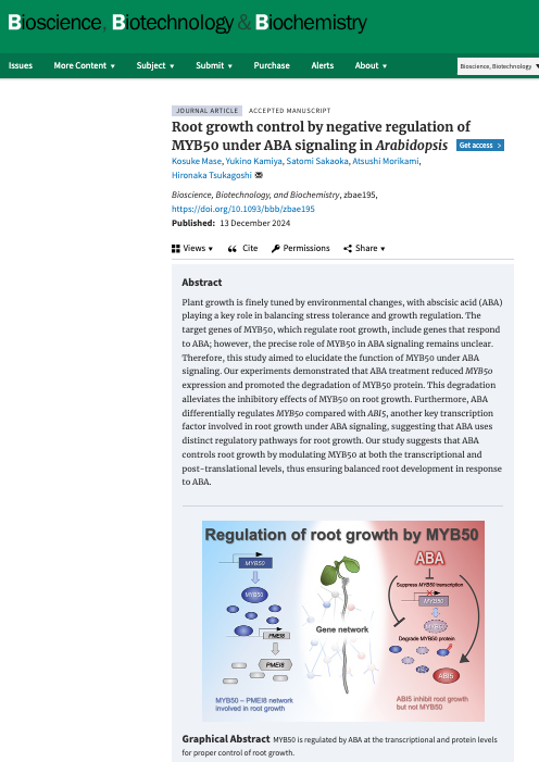 2024 Root growth control by negative regulation of MYB50 under ABA signaling in Arabidopsis.png